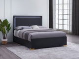 Marceline  Bed with LED Headboard Black