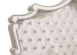 Antonella Upholstered Tufted  Bed Ivory and Camel