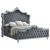 Antonella Upholstered Tufted  Bed Grey