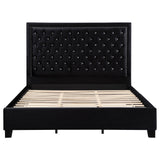 Hailey Upholstered Tufted Platform  Bed Black