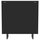 Dalia 2-door Accent Storage Cabinet with Shelving Black