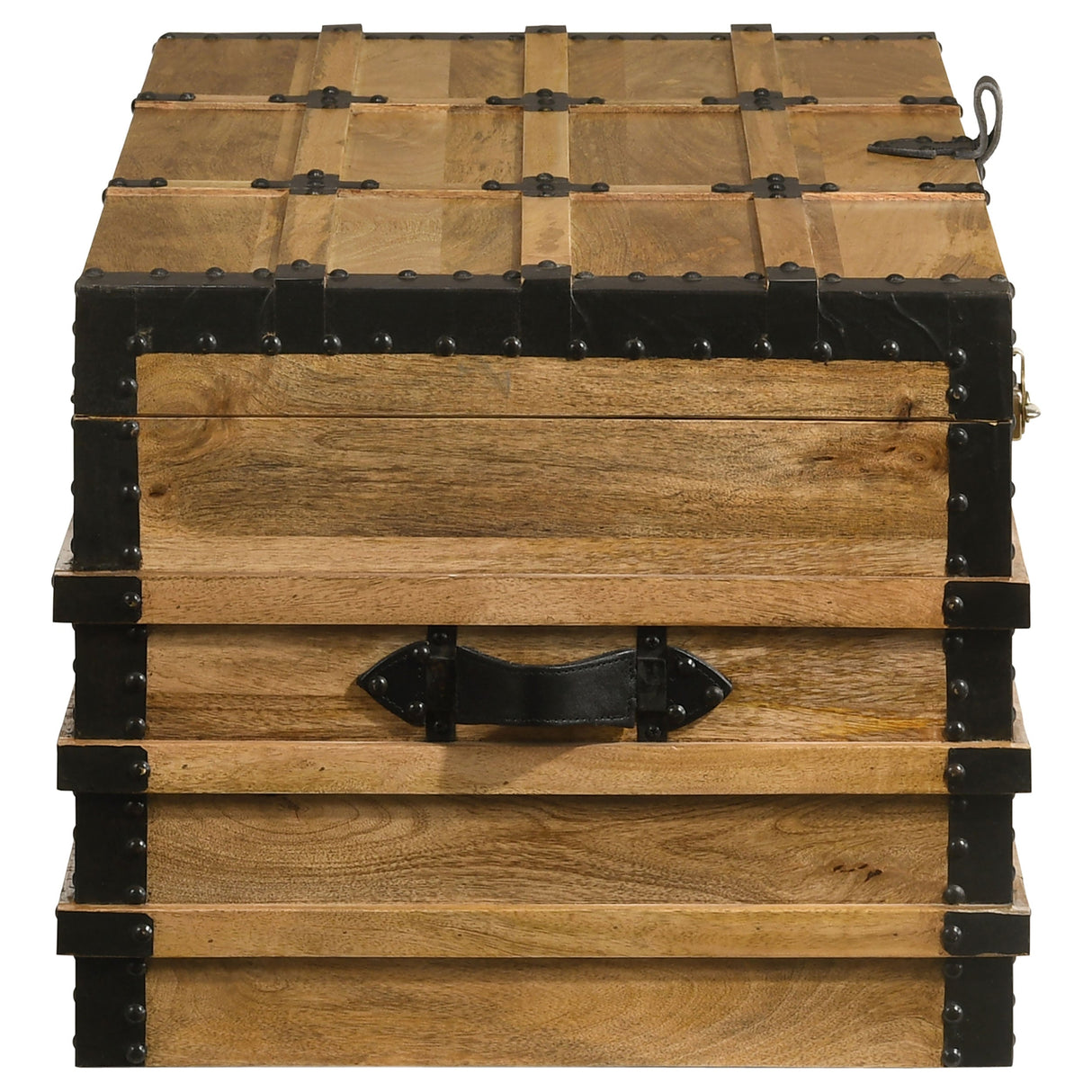 Simmons Rectangular Storage Trunk Natural and Black