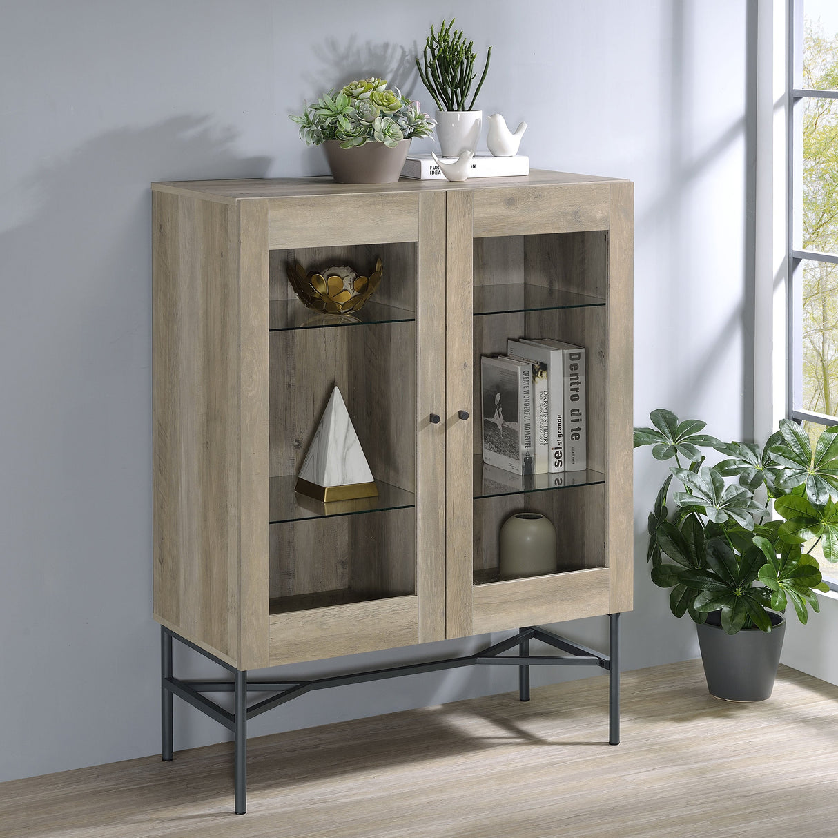 Bonilla 2-door Accent Cabinet with Glass Shelves