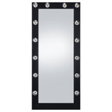 Zayan Full Length Floor Mirror With Lighting Black High Gloss