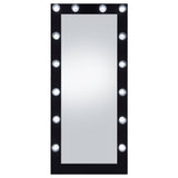 Zayan Full Length Floor Mirror With Lighting Black High Gloss