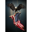 SF1395-60" x 40" Eagle with American Flag - Walo Furniture (Chicago, Illinois)