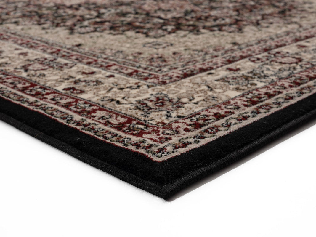 Anariya Area Rug