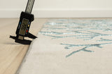 Ciacci Area Rug