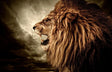 SF1355 - Lion Side Profile Tempered Glass Wall Art - Walo Furniture (Chicago, Illinois)