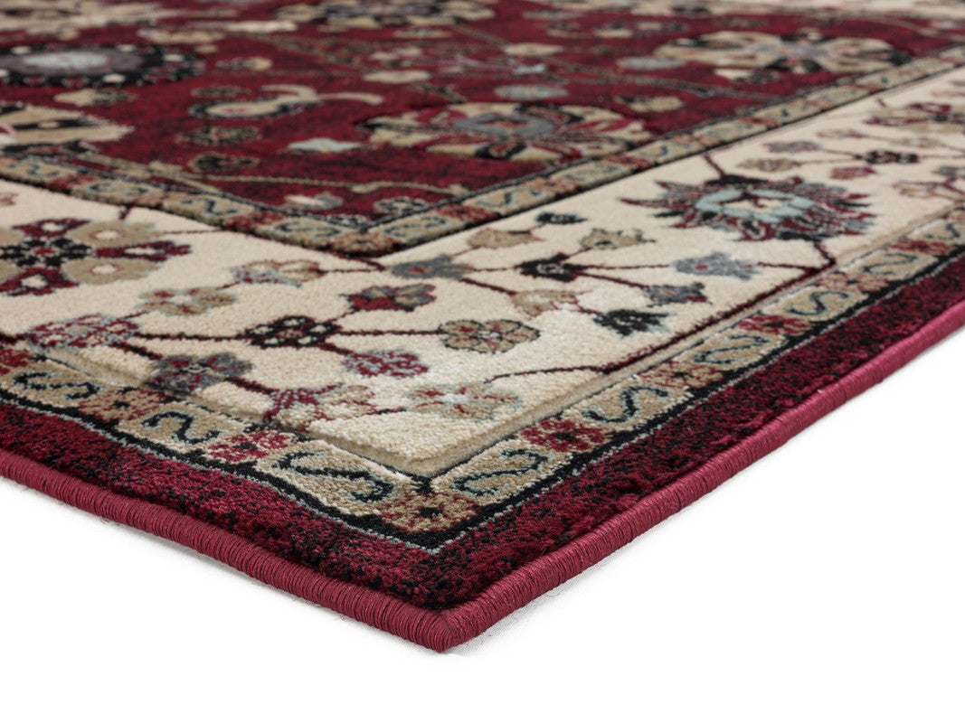 Lacatus Area Rug