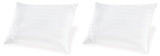 Zephyr 2.0 Cotton Pillow (Set of 2)