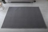 Antroine Area Rug