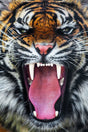 SF1390 - Roaring Tiger Tempered Glass Wall Art - Walo Furniture (Chicago, Illinois)