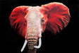 SF1424R - Red Elephant Rhinestones Tempered Glass Wall Art - Walo Furniture (Chicago, Illinois)