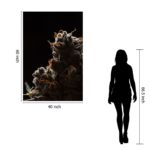 SF1596 Temp Glass w/Foil -Cann 1