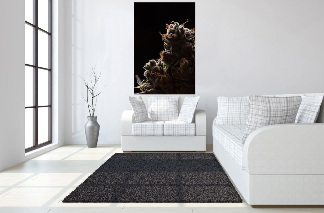 SF1596 Temp Glass w/Foil -Cann 1