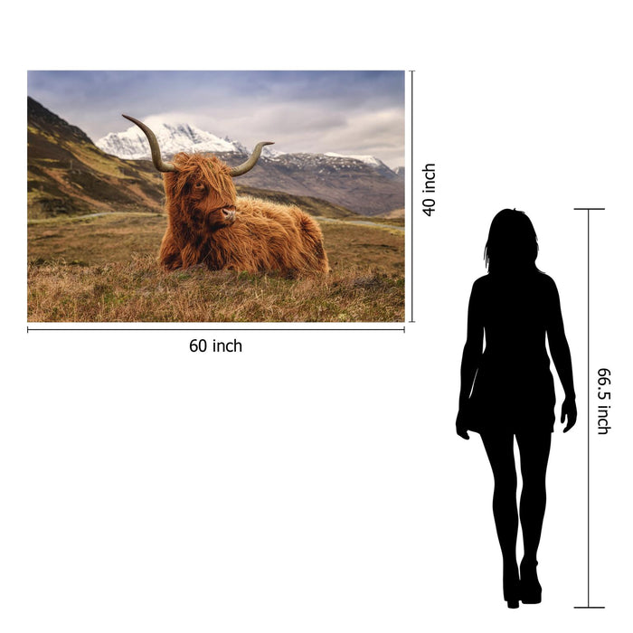 SF1616 Temp Glass w/Foil -Highland Cow 2