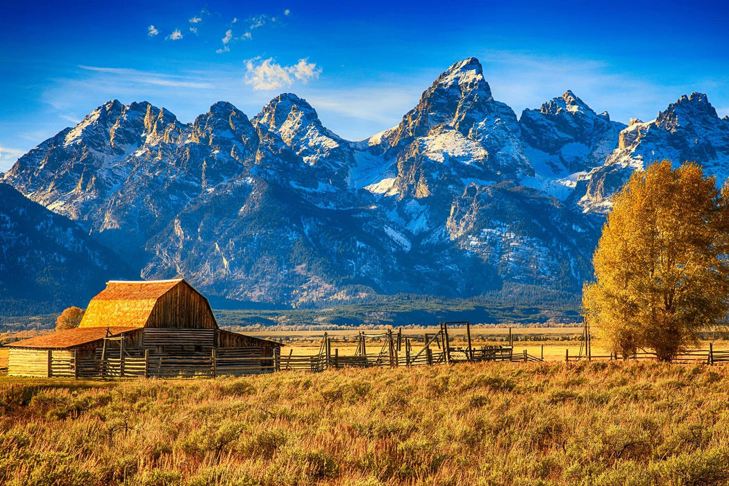 SF1706 Temp Glass w/ Foil – Mountainous Barn