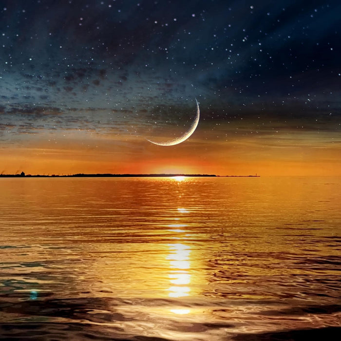 SF1750 Temp Glass w/ Foil – New Moon Horizon