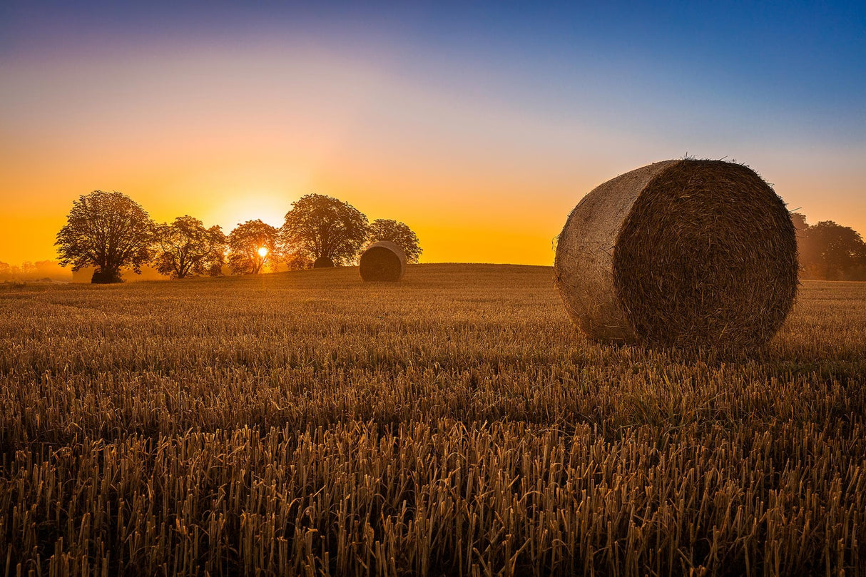 Temp Glass w/ Foil – Hay Bale SF1774