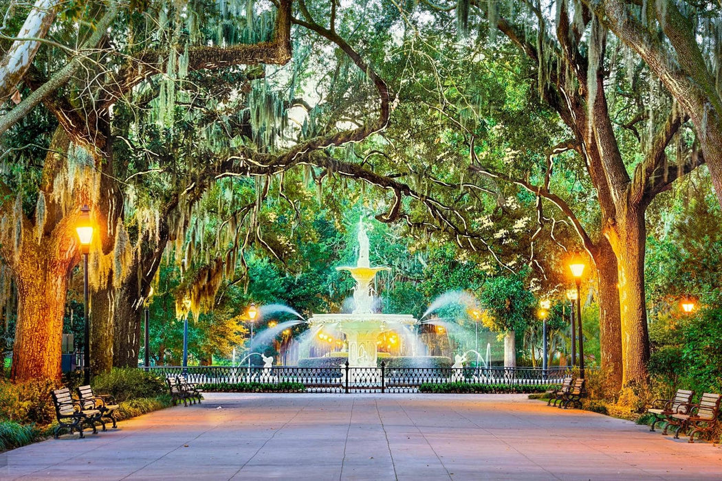 SF1800 Tempered Glass w/ Foil – Forsyth Park Savannah