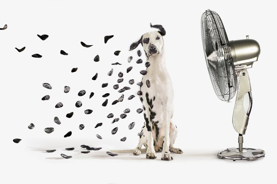 SF1860 Tempered Glass w/ Foil – Dalmation