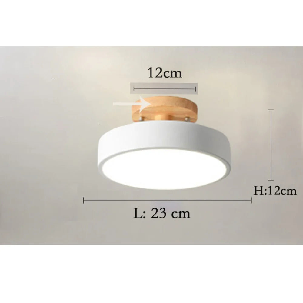 ArtZ® Nordic Ceiling Lamp