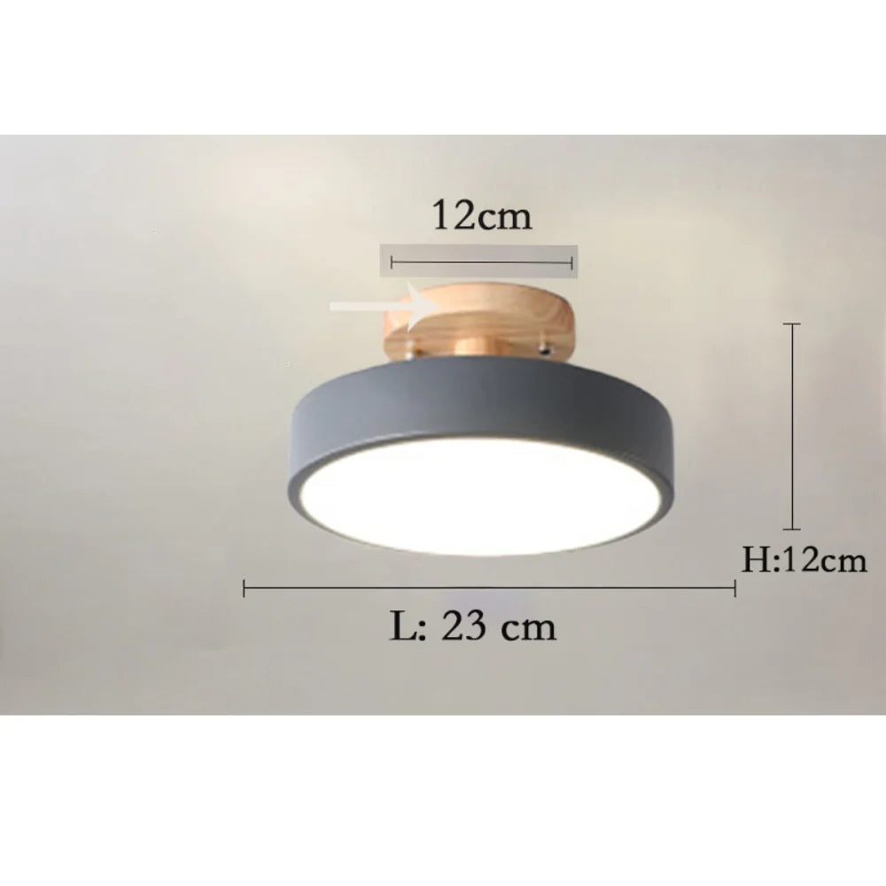 ArtZ® Nordic Ceiling Lamp