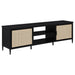 Amherst 2 - door 70 - inch Metal TV Stand Media Console Black - Walo Furniture