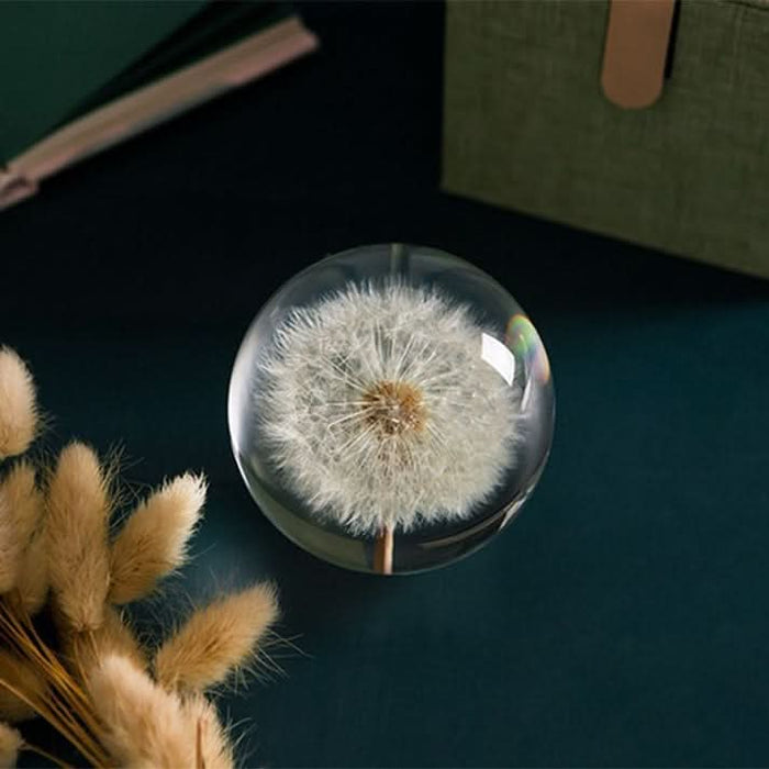 ArtZ® I See A Bright Future Dandelion Crystal Ball - Walo Furniture