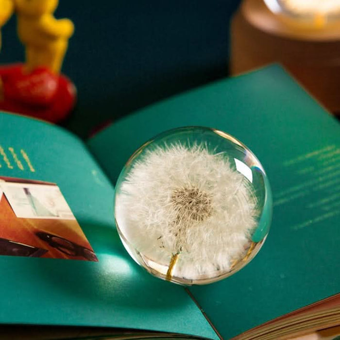 ArtZ® I See A Bright Future Dandelion Crystal Ball - Walo Furniture