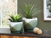 Ashley Express - Ardenridge Planter Set (2/CN) - Walo Furniture