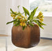 Ashley Express - Capard Vase - Walo Furniture