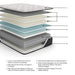 Ashley Express - Elite Springs Firm Mattress - Walo Furniture