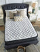 Ashley Express - Limited Edition Firm Mattress - Walo Furniture