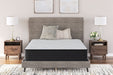 Ashley Express - Palisades Plush Mattress - Walo Furniture