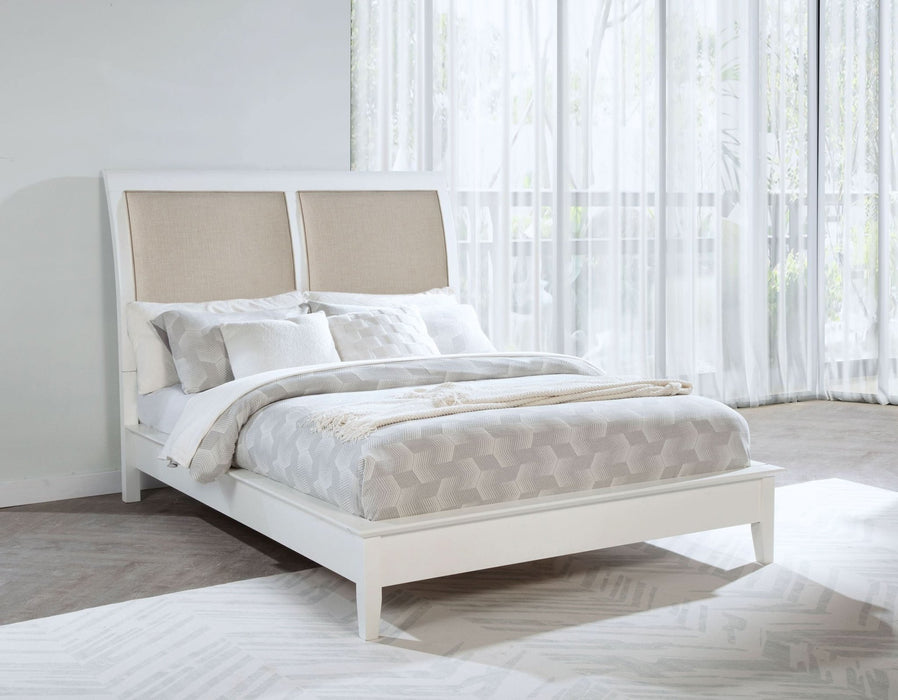 Bexhill 56 - inch Upholstered Queen Panel Bed White - Walo Furniture