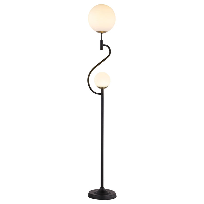 Dacki 69 - inch Dual Spherical Bulb Metal Floor Lamp Black - Walo Furniture