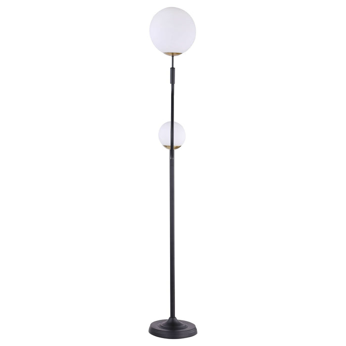 Dacki 69 - inch Dual Spherical Bulb Metal Floor Lamp Black - Walo Furniture