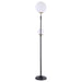 Dacki 69 - inch Dual Spherical Bulb Metal Floor Lamp Black - Walo Furniture