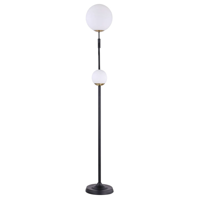 Dacki 69 - inch Dual Spherical Bulb Metal Floor Lamp Black - Walo Furniture