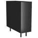 Dalia 2 - door Accent Storage Cabinet with Shelving Black - Walo Furniture