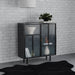 Dalia 2 - door Accent Storage Cabinet with Shelving Black - Walo Furniture