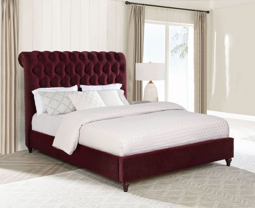 Devon 57 - inch Upholstered Full Panel Bed Wine Red - Walo Furniture