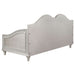 Evangeline Upholstered Twin Daybed Silver Oak - Walo Furniture