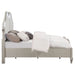 Evangeline Wood Queen LED Panel Bed Silver Oak - Walo Furniture