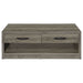 Felix 2 - drawer Engineered Wood Coffee Table Grey Driftwood - Walo Furniture