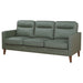 Jonah Upholstered Track Arm Sofa Green - Walo Furniture