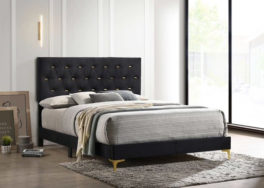 Kendall Upholstered California King Panel Bed Black - Walo Furniture