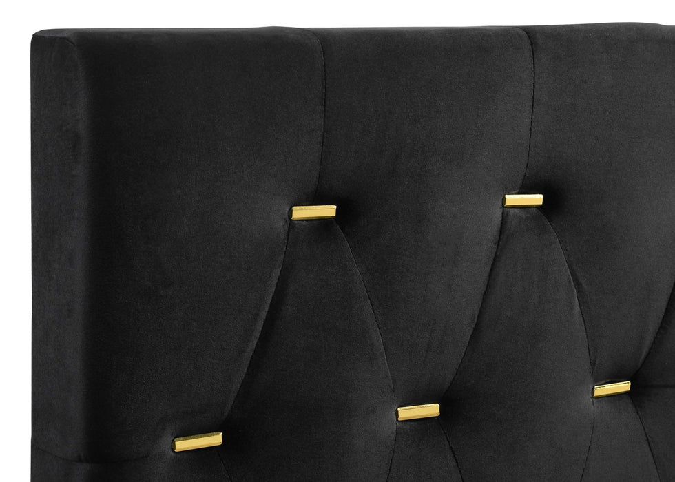 Kendall Upholstered Eastern King Panel Bed Black - Walo Furniture